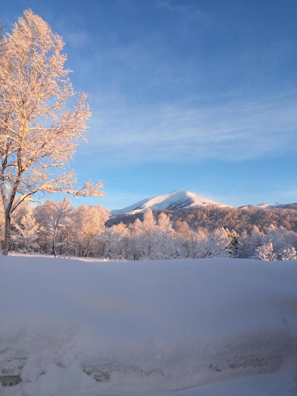 Niseko Guesthouse Nalu. Eksteriør bilde